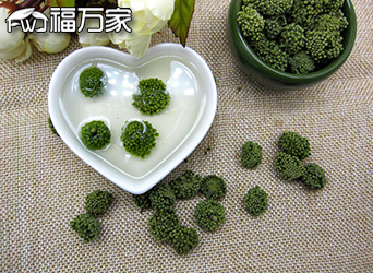 福万家三七花泡水喝