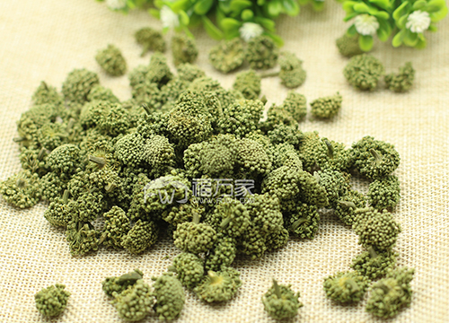 三七花的价格怎么样