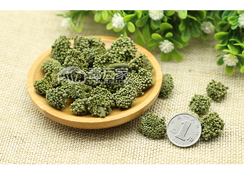 三七花的用法不同功效也不同