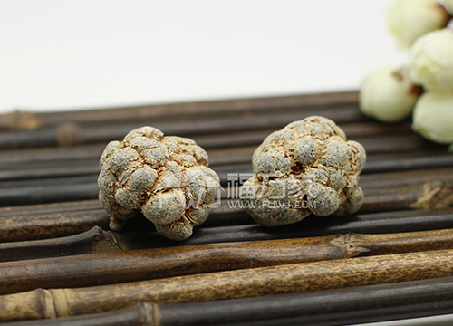 三七是老年人的好补品