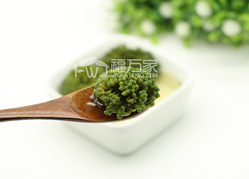 三七花