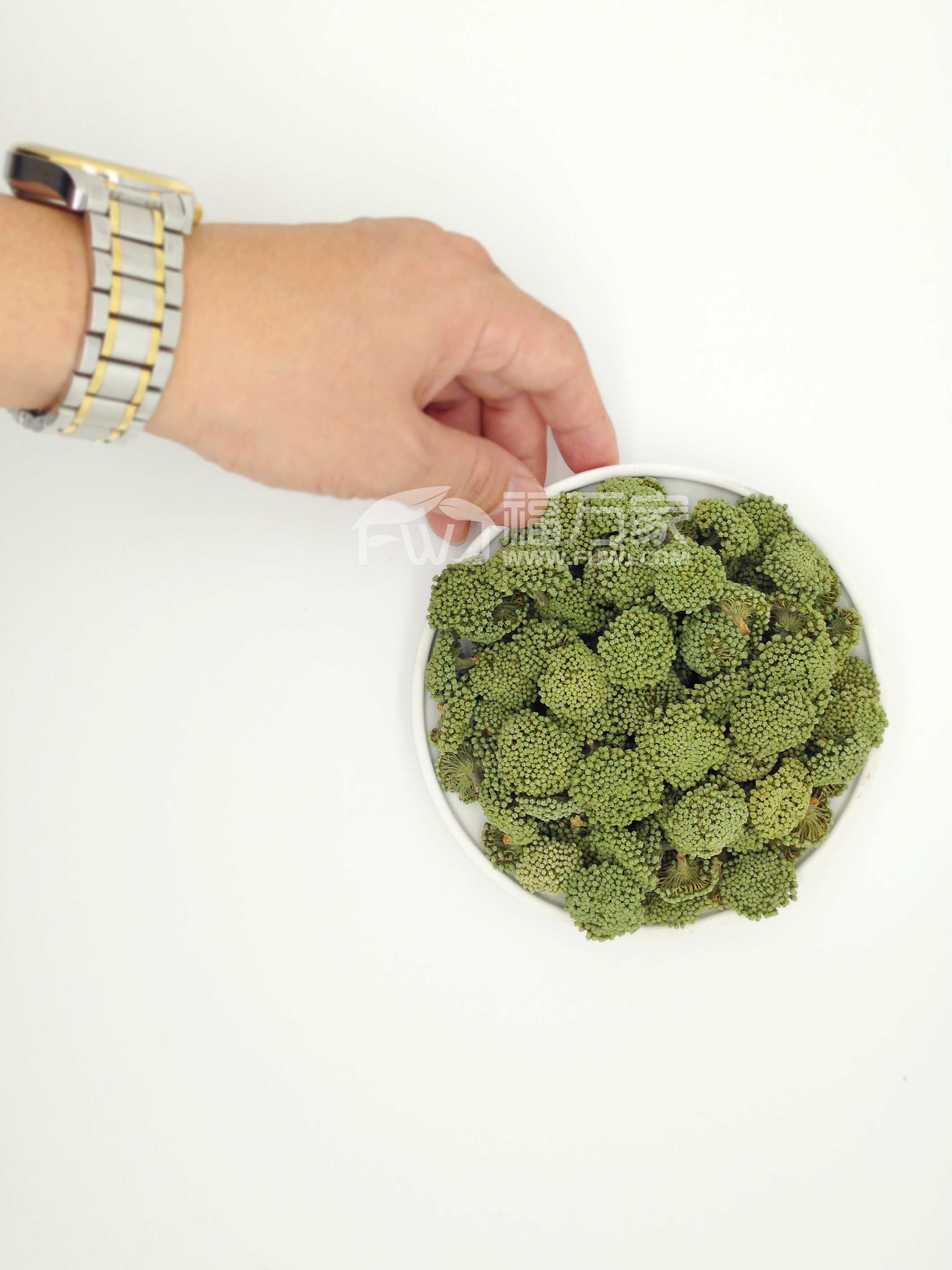 三七花的食用与禁忌事项