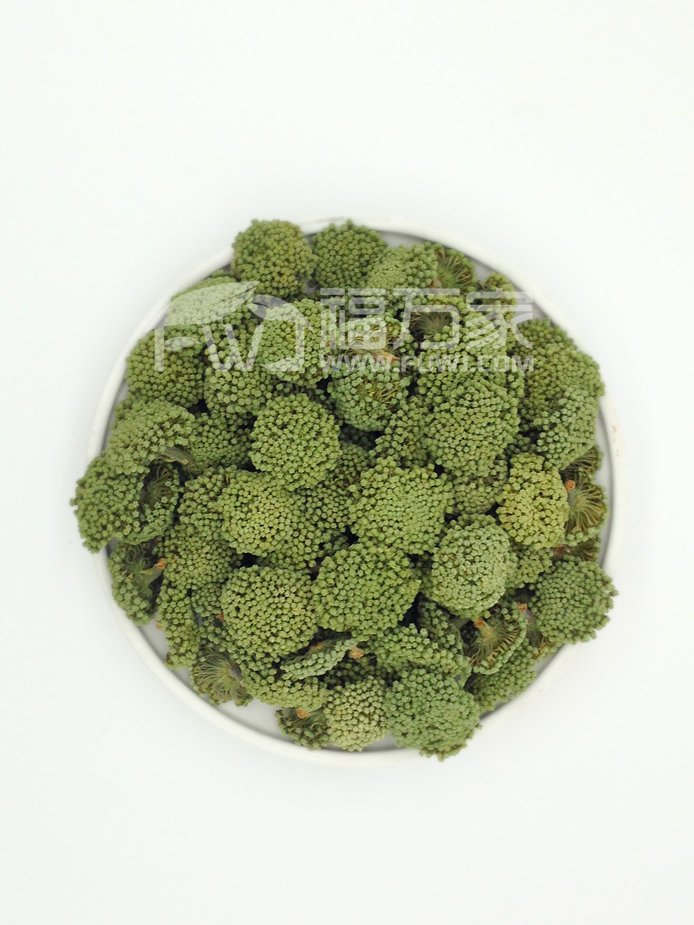 关于新鲜的文山三七花