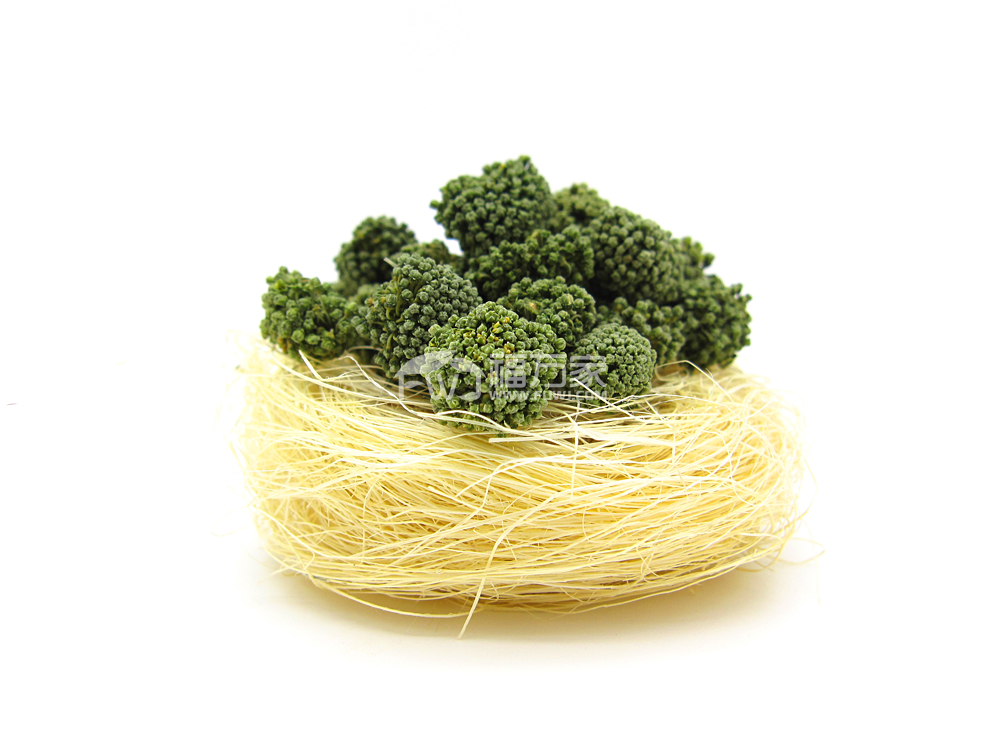 简单分辨三七花好不好
