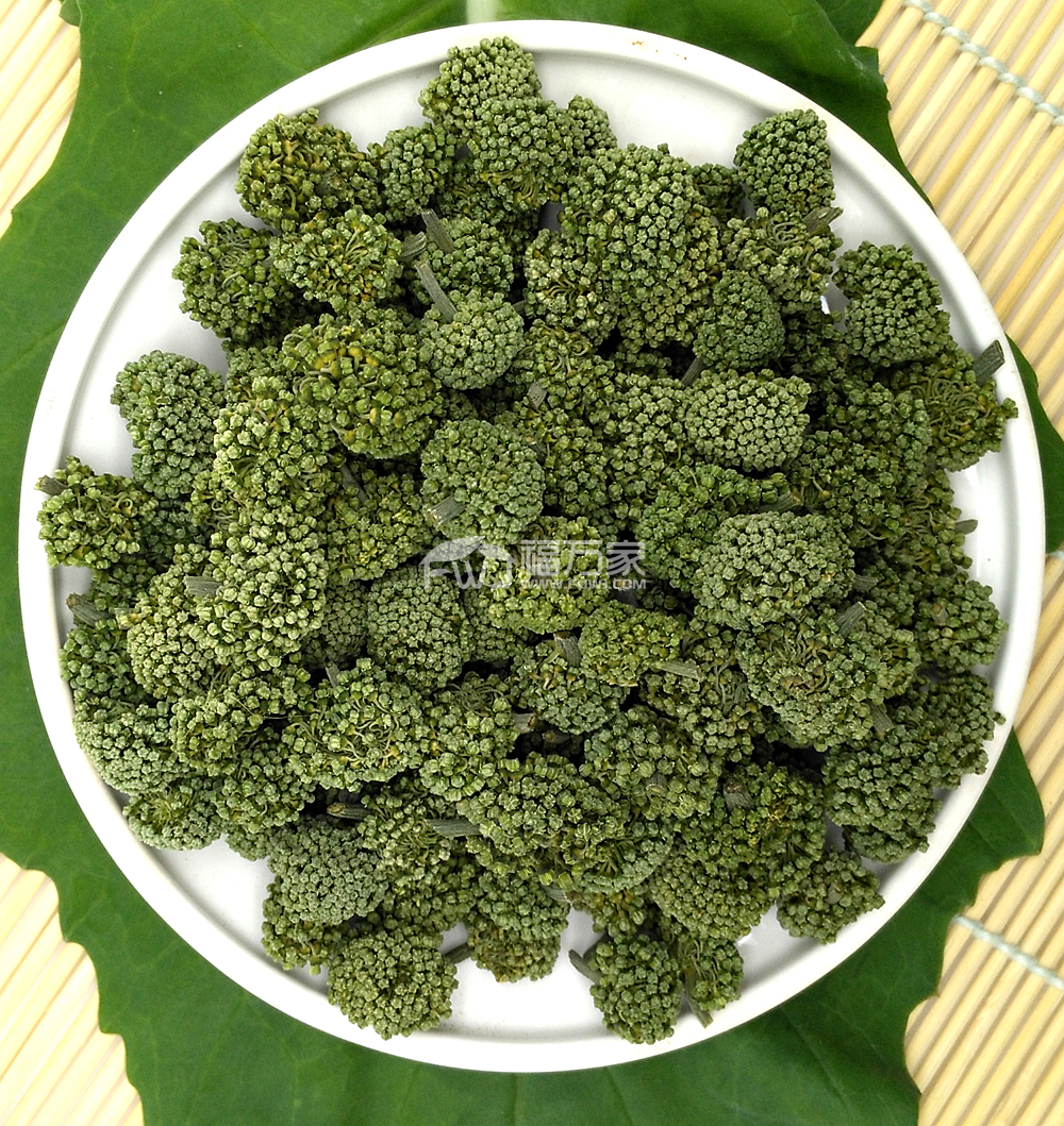 三七花可用于改善偏头痛