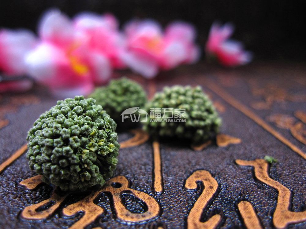 三七花知识之采摘时间
