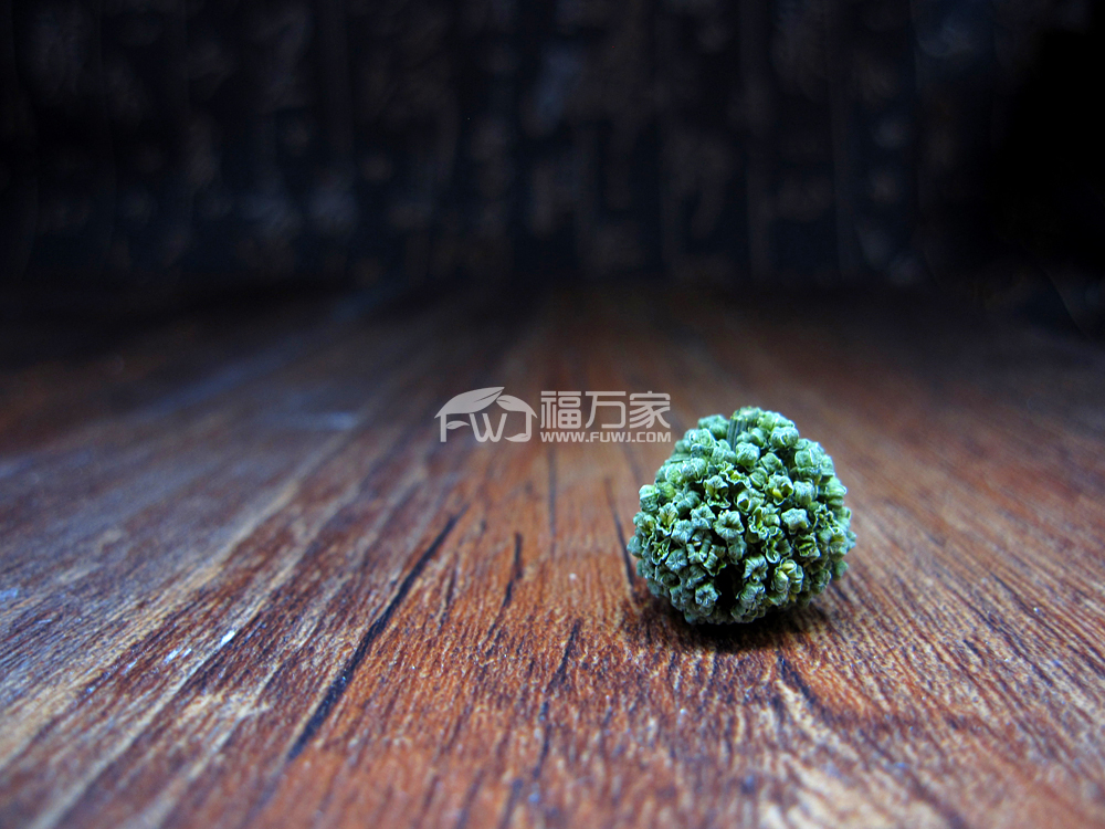 三七花和三七的简单对比