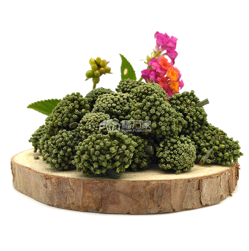 常喝三七花为健康加分