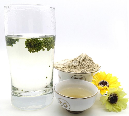 患咽喉炎时喝点三七花茶吧
