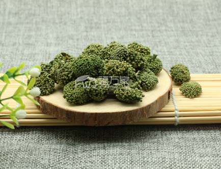 三七花的功效可以改善老年人耳鸣