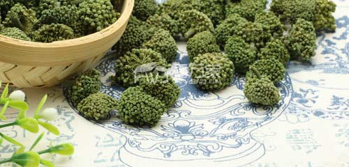 三七花与三七粉的功效及作用有和区别？