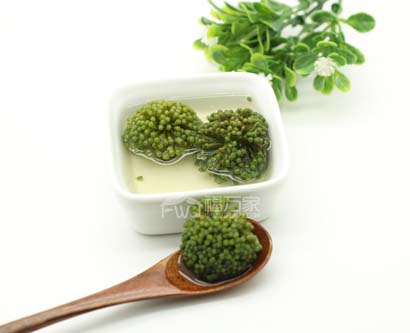 三七花茶——既便宜功效又好的茶