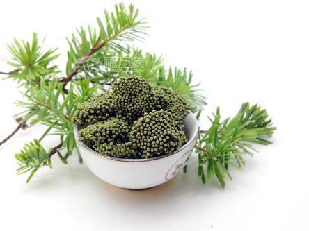 三七花至少有这6大功效
