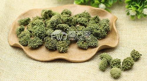 三七花的饮用
