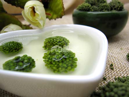 喝三七花改善肝脏健康，缓解嘴巴苦舌苔黄
