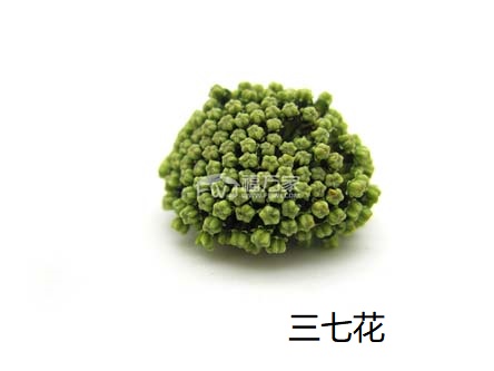三七花