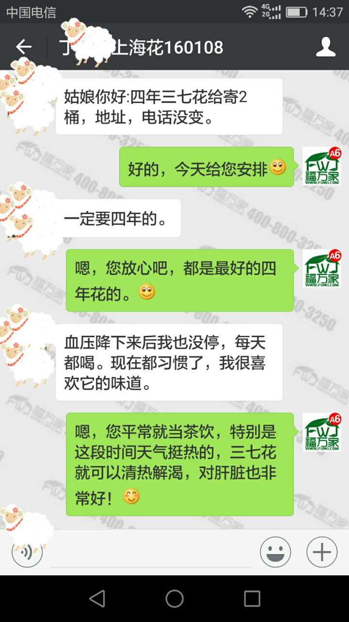 喝三七花降血压
