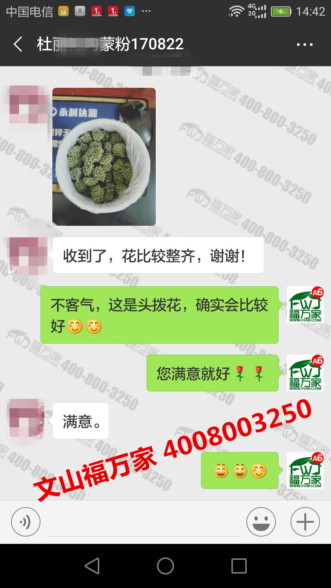 哪家三七花好