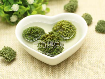 三七花改善牙疼