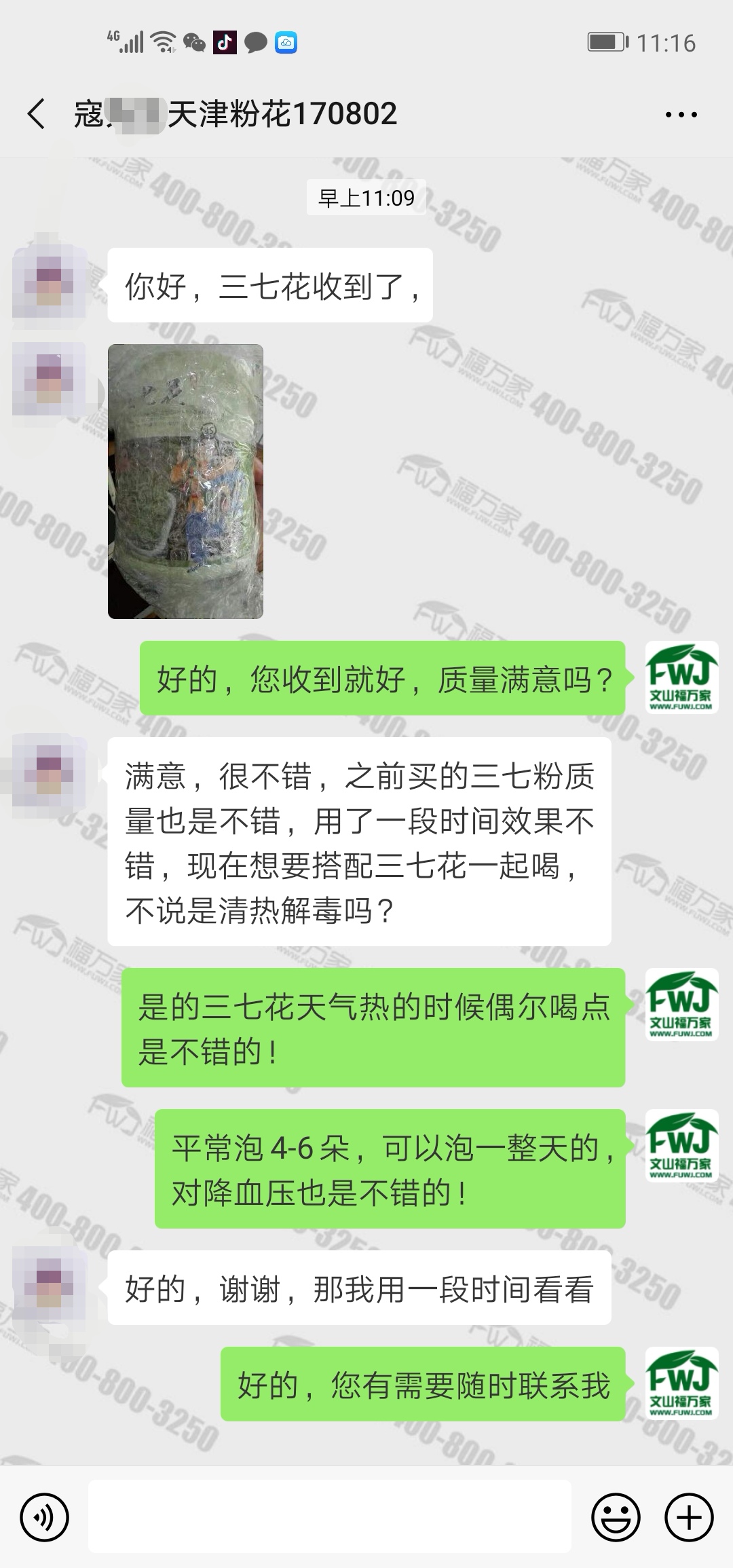 哪家的三七花好