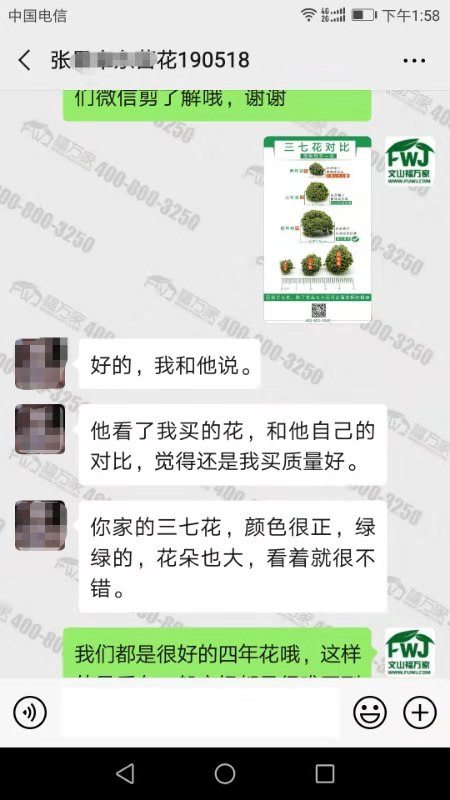 哪家三七花好