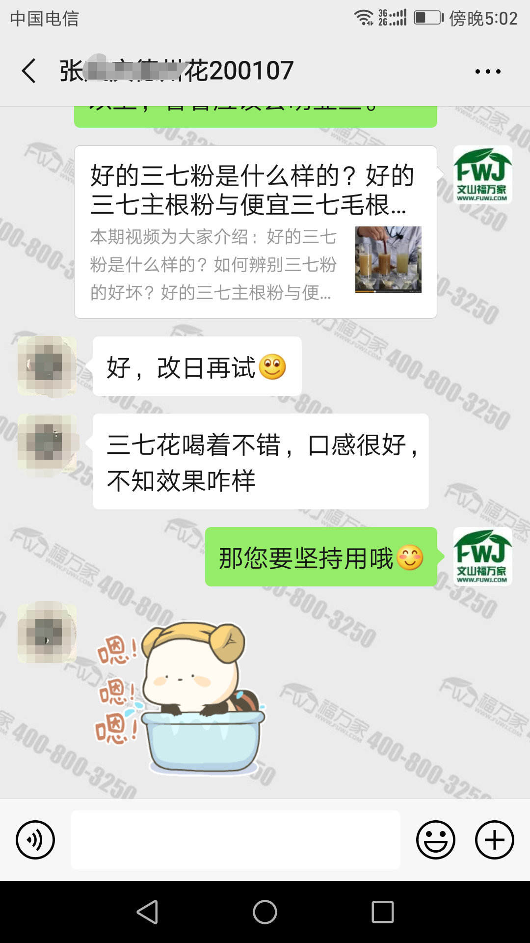 哪里的三七花好