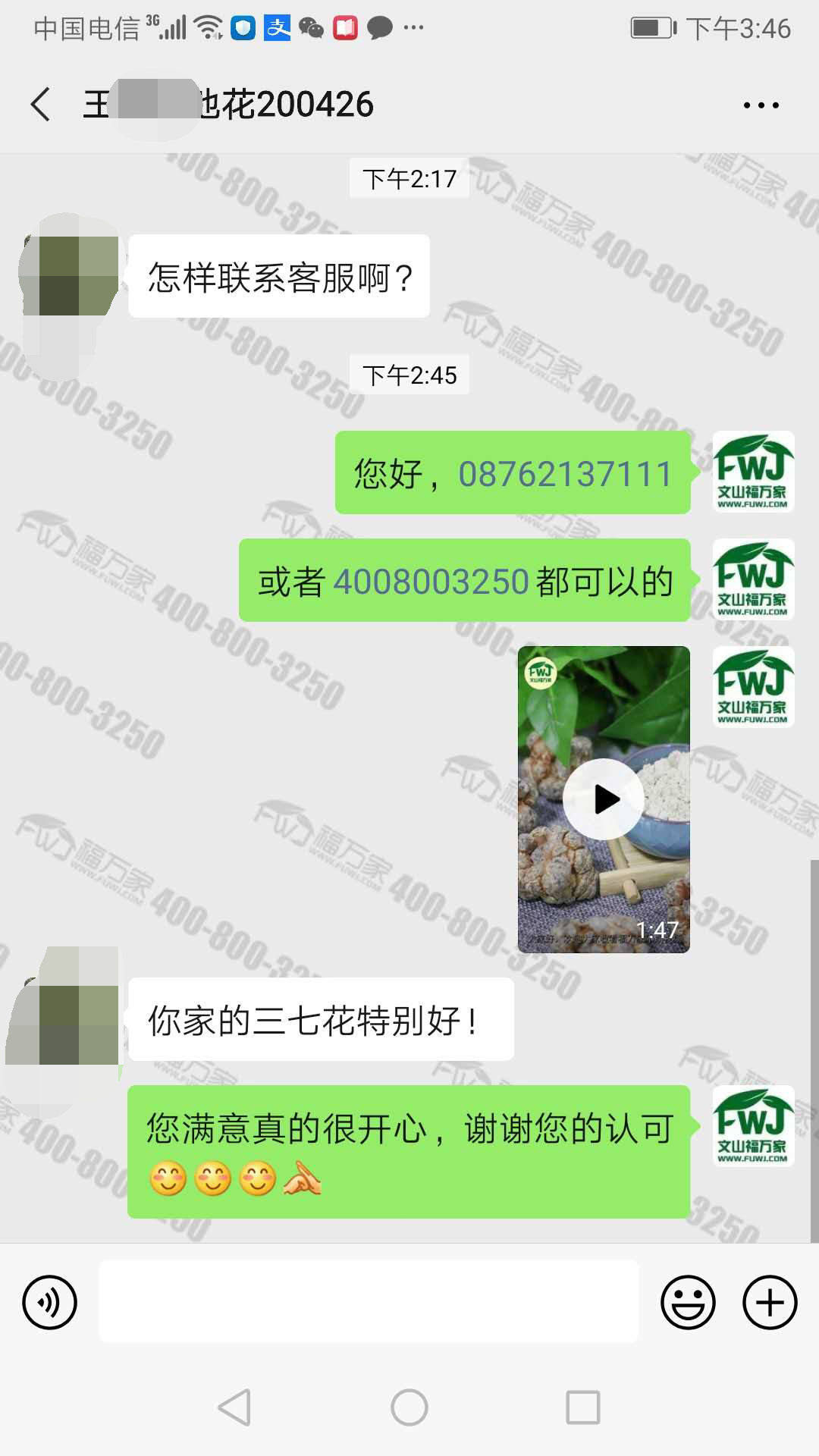 三七花哪里的好