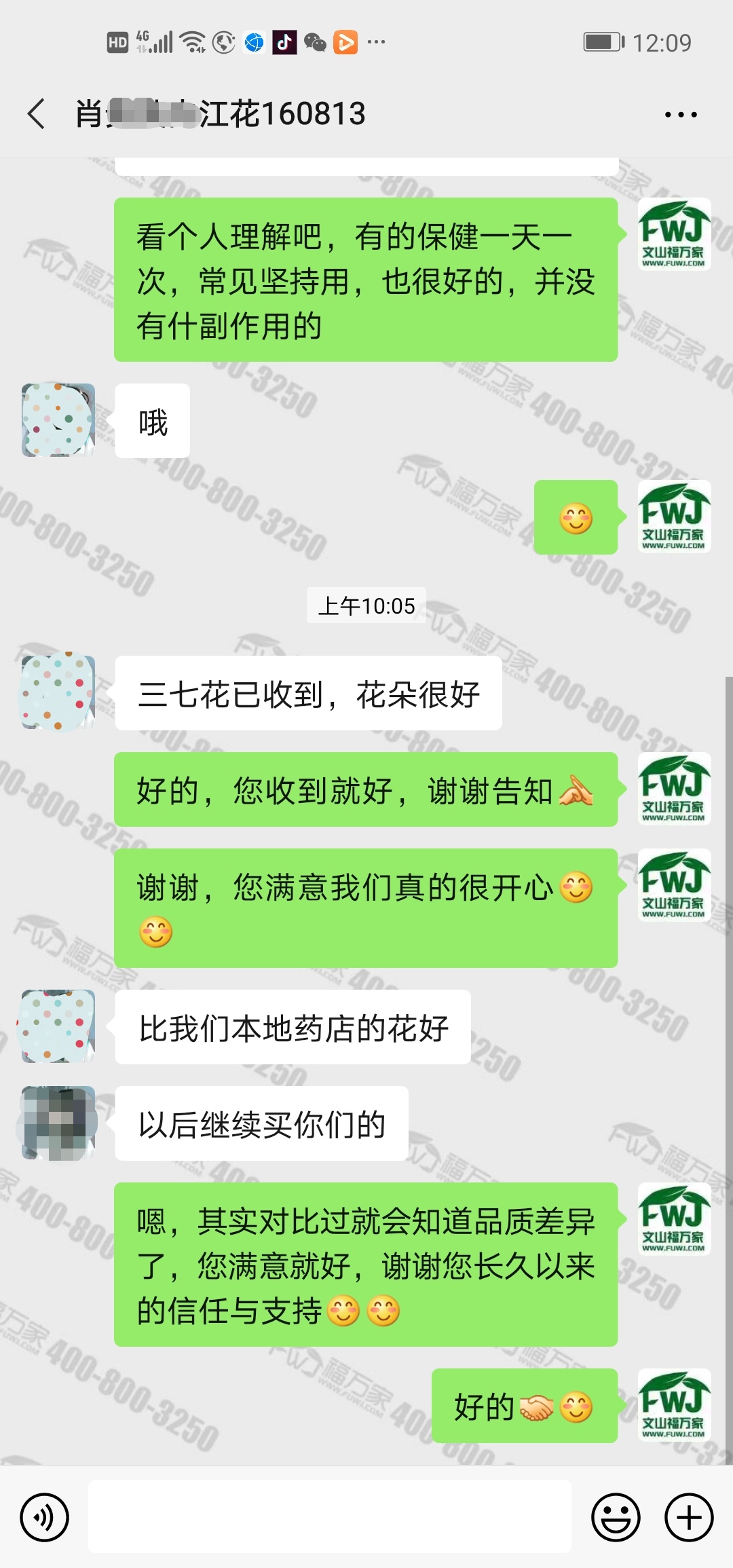 好三七花怎么买