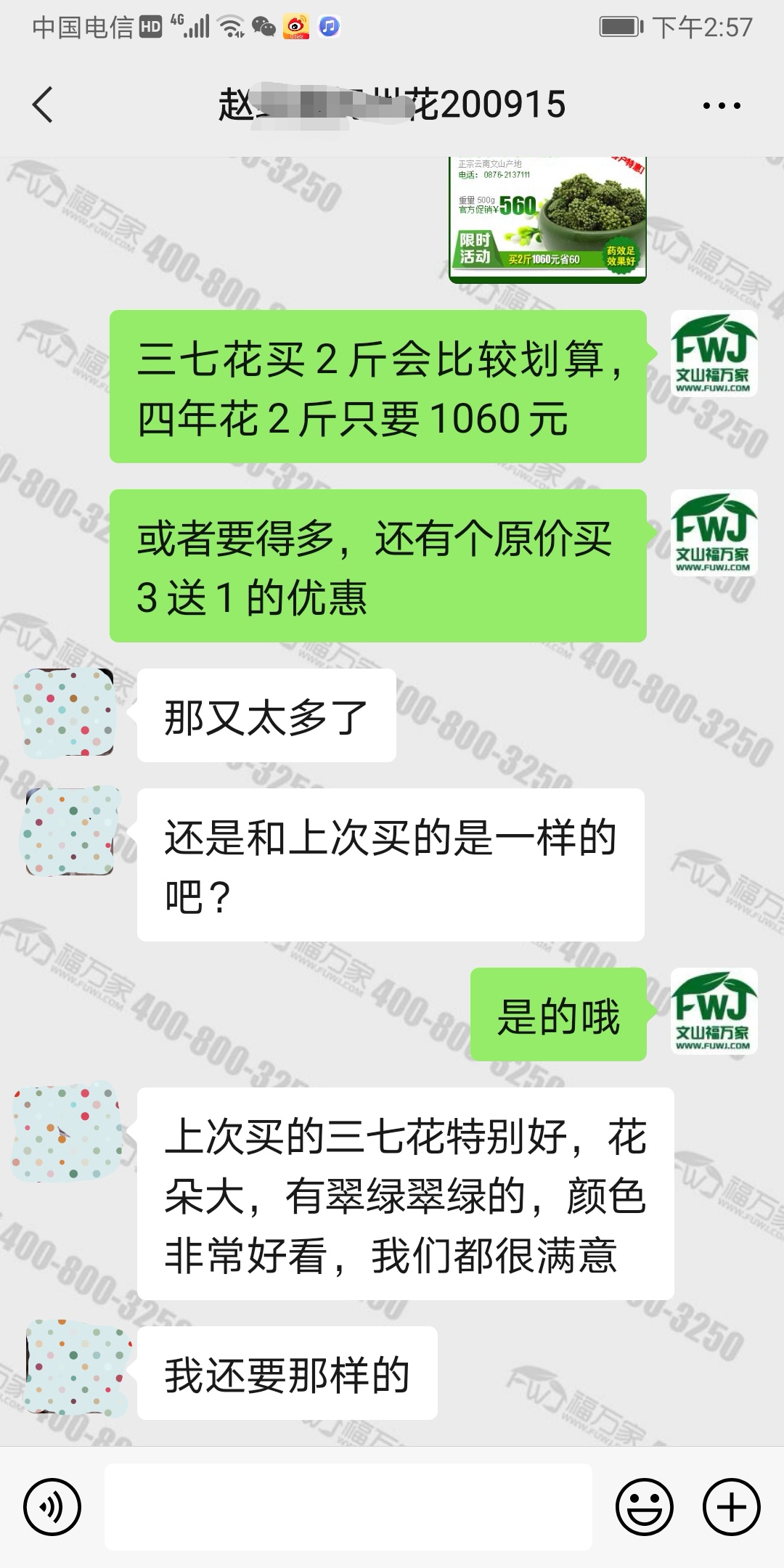 哪里有好三七花