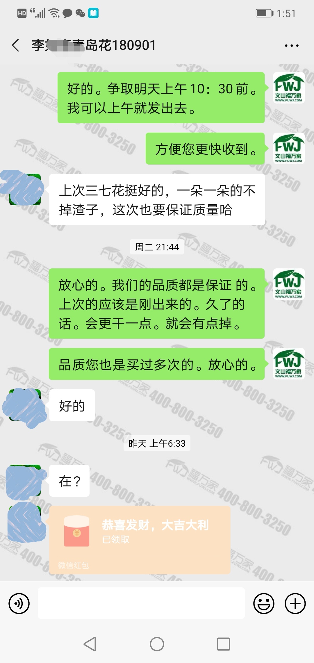 哪里的三七花好