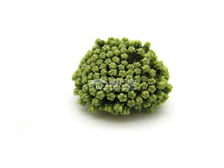 三七花降血脂的效果还是可以的