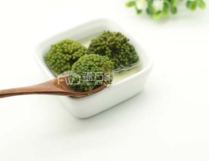 咽喉炎喝了三七花竟然好了？