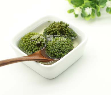 三七花有什么用