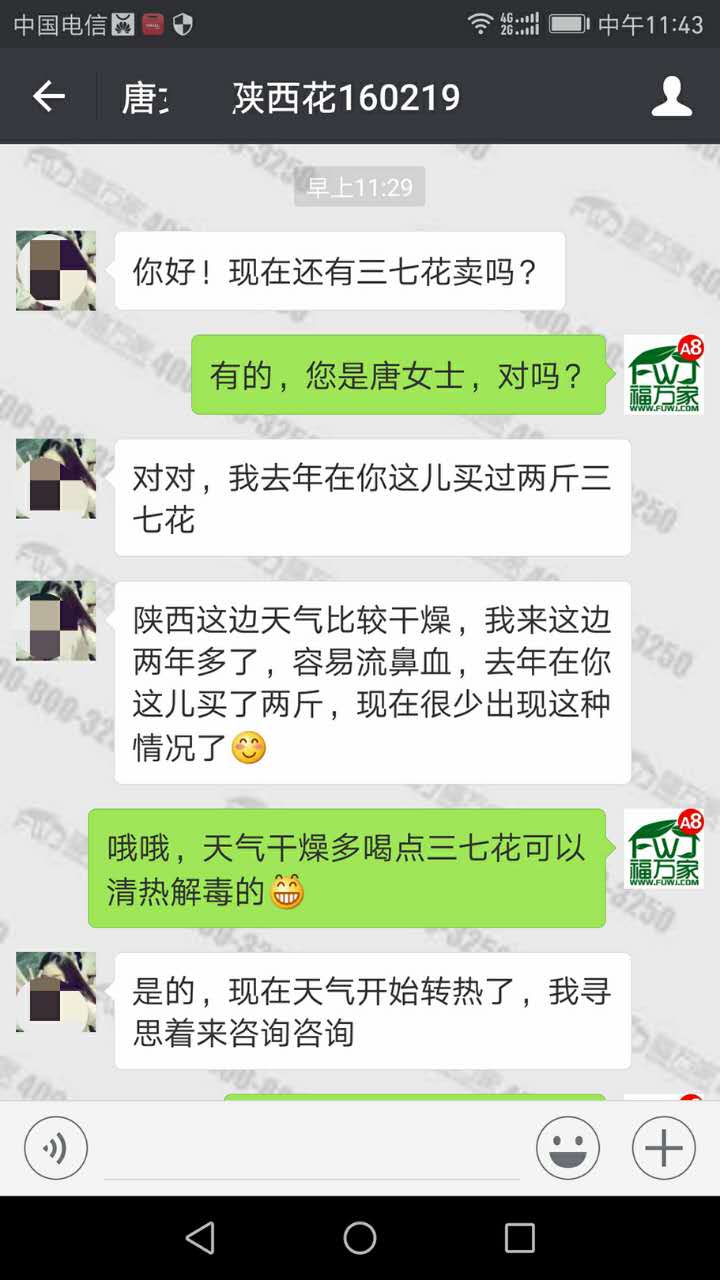 三七花改善流鼻血