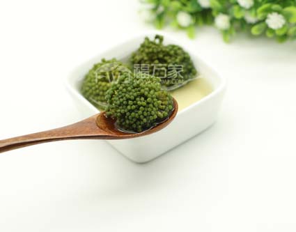 好三七花什么样