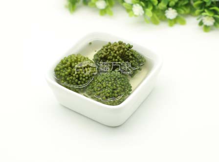 三七花哪里有比较好的？